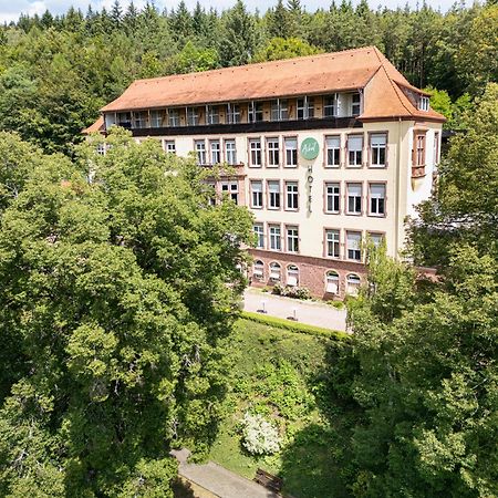 Michel&Friends Hotel Franziskushöhe Lohr Exterior foto